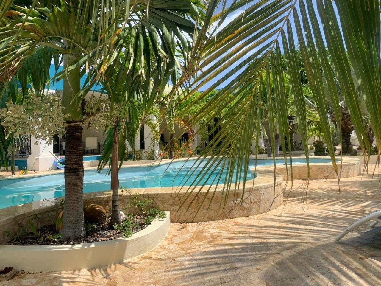 Apartmán Penthouse Prikichi D2 Playa Exteriér fotografie